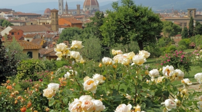 Il Giardino dell’Iris in Piazzale Michelangelo a Firenze: dal 25 aprile al 20 maggio 2014